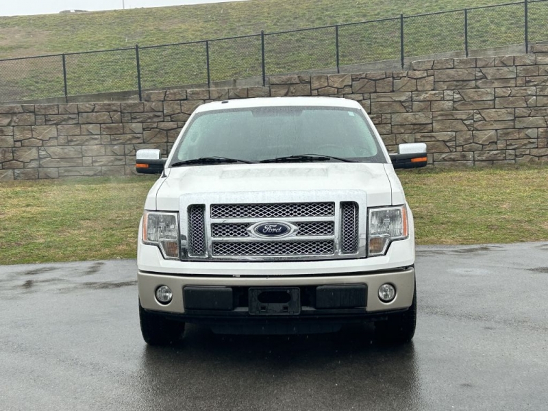 FORD F150 2010 price $14,590