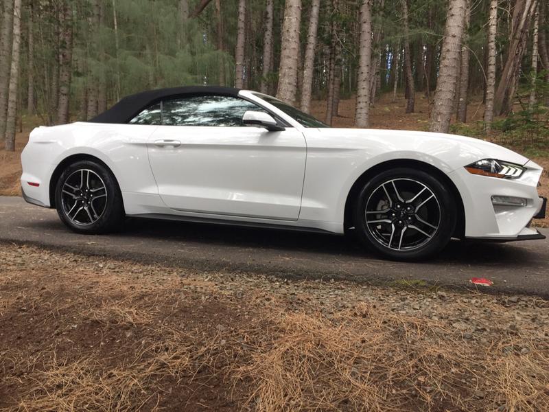 FORD MUSTANG 2019 price $22,485