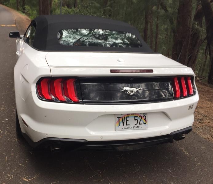 FORD MUSTANG 2019 price $28,379