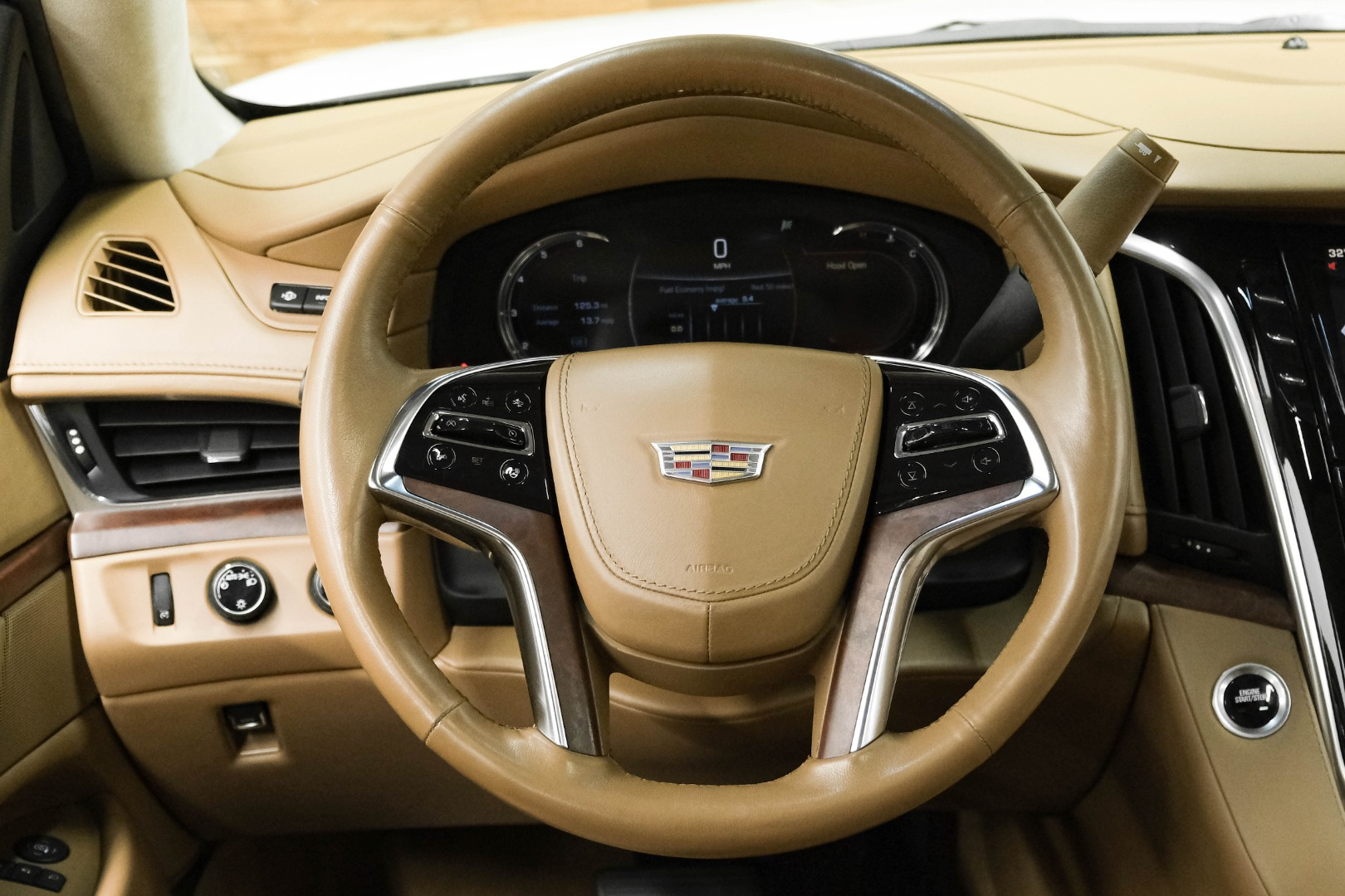 2016 Cadillac Escalade 4WD 4dr Platinum 12