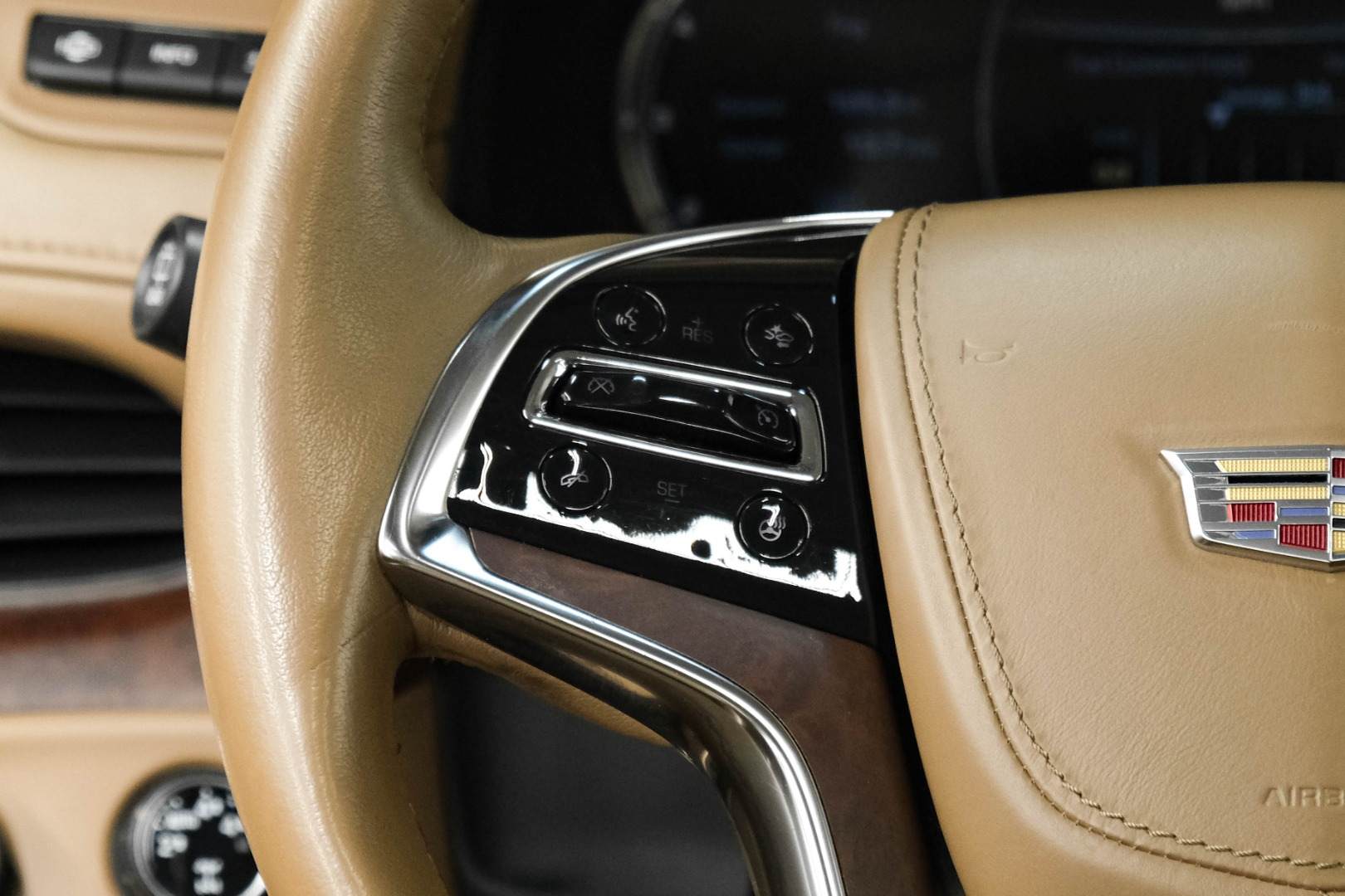2016 Cadillac Escalade 4WD 4dr Platinum 13