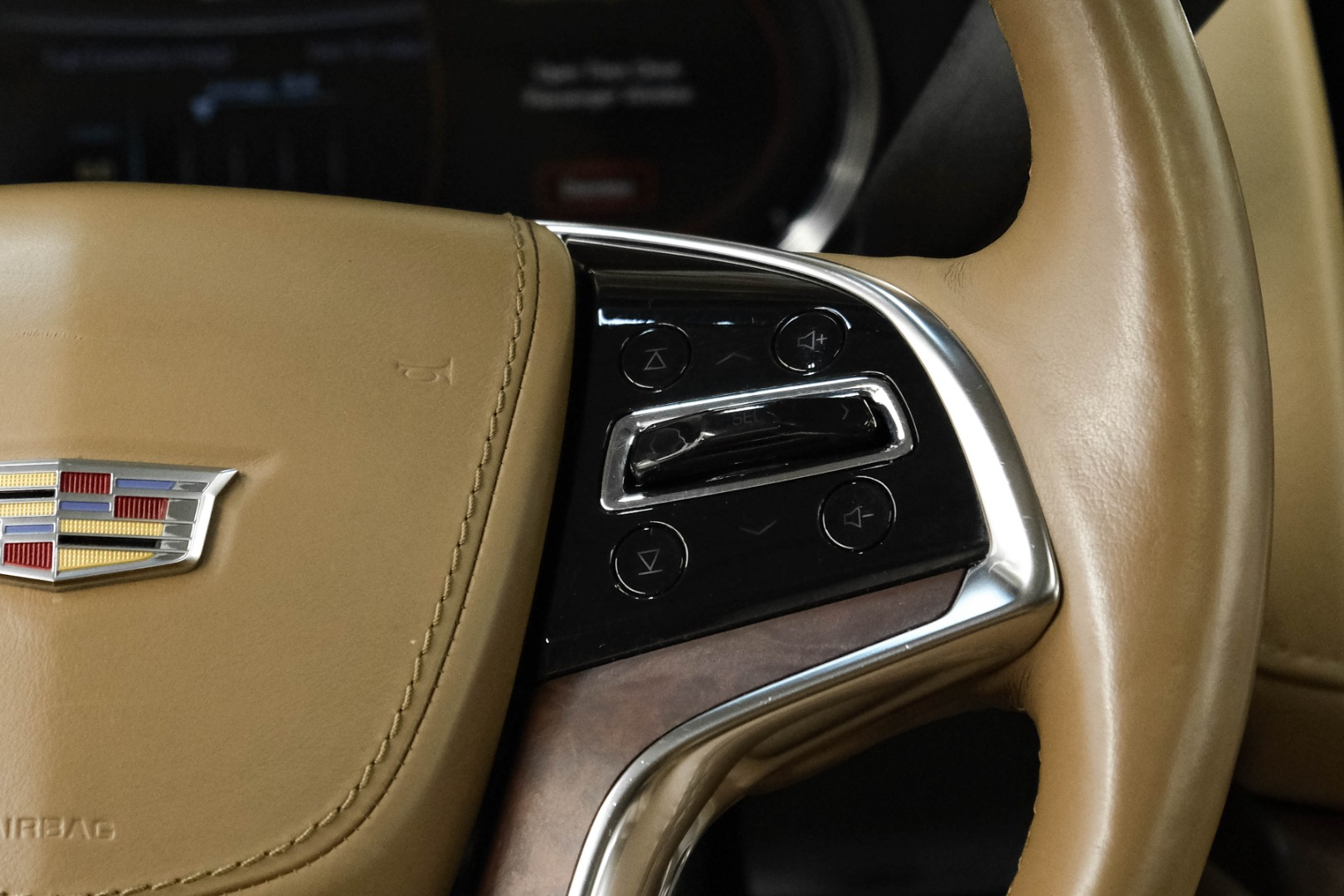 2016 Cadillac Escalade 4WD 4dr Platinum 14