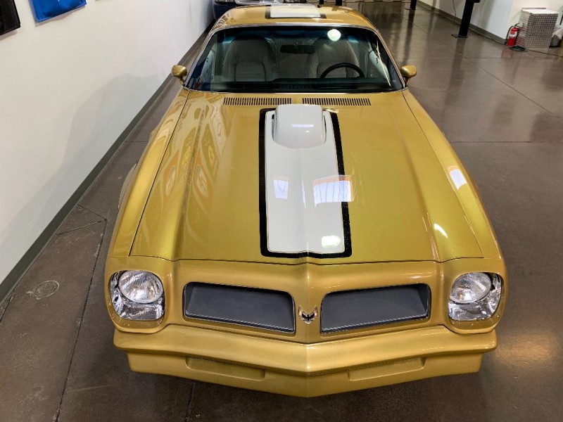 Pontiac Firebird 1976 price $29,500